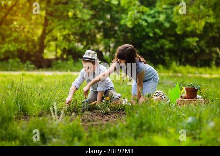 Giardinieri di ragazzo di ragazza e di ragazzo di blong che piantano i fiori nel giardino d'estate al tramonto. Attività estive. Foto Stock