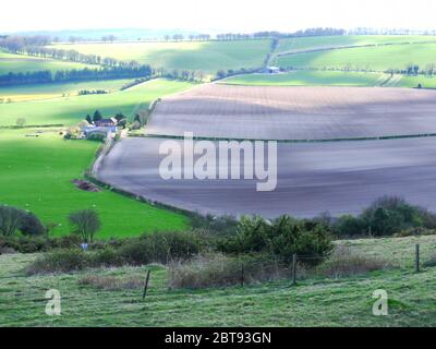 Old Winchester Hill, Hampshire, Regno Unito. Foto Stock