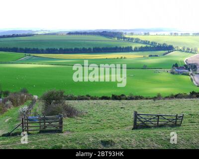 Old Winchester Hill, Hampshire, Regno Unito. Foto Stock