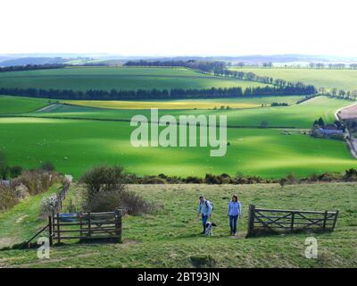 Old Winchester Hill, Hampshire, Regno Unito. Foto Stock