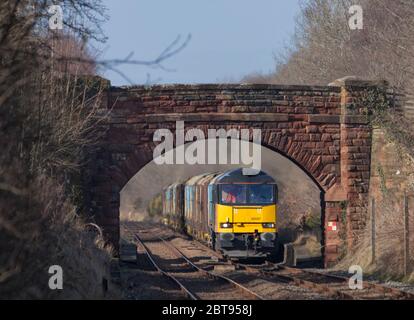 COAS rail trasporto merci locomotiva diesel classe 60 60087 trasporto di un lungo treno merci che trasporta legname passando per Cumwhinton, Cumbria Foto Stock