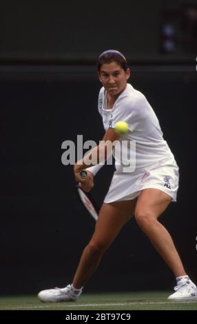 Monica Selees Wimbledon 1991 Foto di Tony Henshaw Foto Stock