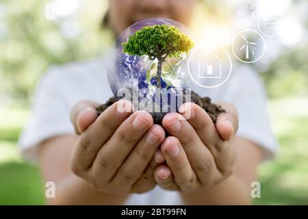 salvare mondo e concetto di innovazione, ragazza che tiene piccola pianta o tree segling stanno crescendo dal suolo su palma con linea di collegamento, ecologia e lite Foto Stock