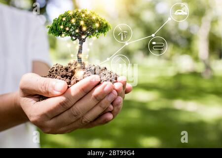 salvare mondo e concetto di innovazione, ragazza che tiene piccola pianta o tree segling stanno crescendo dal suolo su palma con linea di collegamento, ecologia e lite Foto Stock