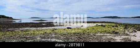 Guardando verso Samson e Tresco, Isole di Scilly - Regno Unito Foto Stock