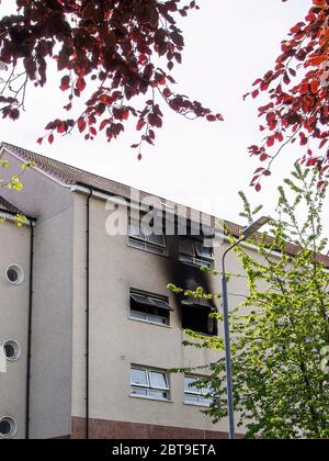 Glasgow, Scozia, Regno Unito. 20 maggio 2020: Il seguito di un fuoco piano. Foto Stock