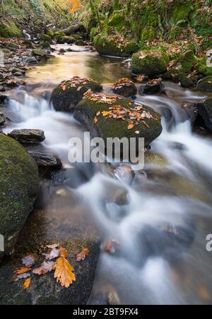 Cascate su Castramon Cleuch in autunno, vicino alla Gatehouse of Fleet, Dumfries & Galloway, Scozia Foto Stock
