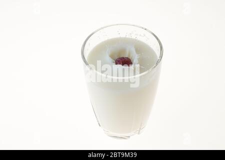 Primo piano di vista del lampone rosso che cade nel latte su uno sfondo bianco. Foto Stock