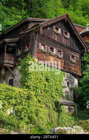 Vista esterna di un'antica casa in legno tradizionale costruita sulla cima di una roccia cresciuta nel famoso villaggio montano Hallstatt, Salzkammergut, OÖ, Austria Foto Stock