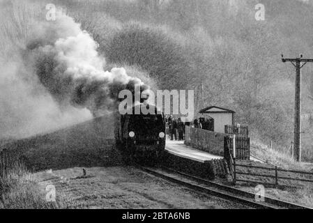 Locomotiva della città di Wells sulla ferrovia del Lancashire orientale al Parco dei burrs durante le pietre di grandine Foto Stock