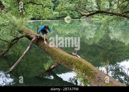 Ragazzo che sale su un tronco di albero vicino ad un fiume Foto Stock