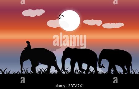 Immagine silhouette crepuscolo elefante nero con elefante mahout passeggiata in spiaggia con mare e luna sfondo luce vettoriale sera illustrazione Illustrazione Vettoriale