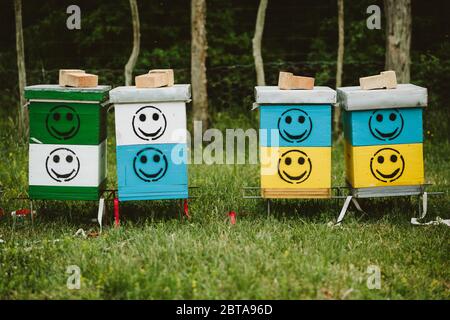Alveari con logo smiley Foto Stock