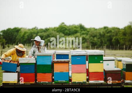 Giovane apicoltore che impara dal suo insegnante Foto Stock