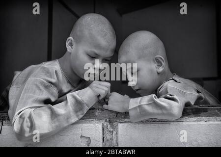 Femmine monks buddisti in Myanmar Foto Stock