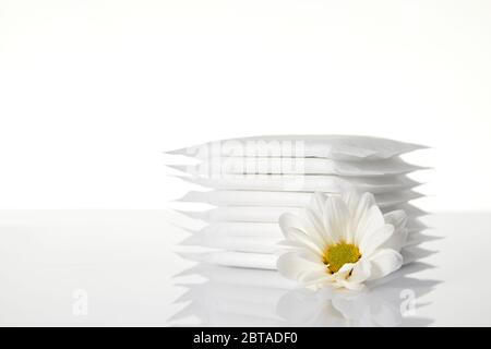 cuscini igienici mestruali isolati su fondo bianco. Prodotti per l'igiene femminile e fiori di camomilla. Foto Stock