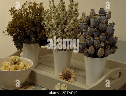Essiccato semi di papavero teste con alchemilla e delphiniums Foto Stock