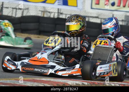 Robert Shwartzman carriera nel karting. Foto Stock