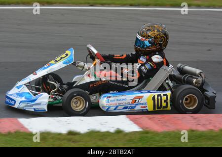 Robert Shwartzman carriera nel karting. Foto Stock