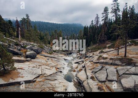 A top view of a deep valley with small river surrounded with pine trees in mountains at Yosemite national park during late spring. Foto Stock