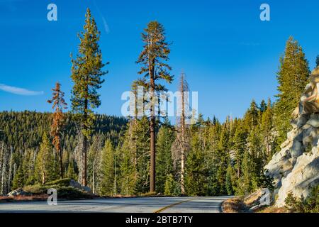 Strada vuota che attraversa il paesaggio montano della Sierra Nevada con in giornata di sole con cielo blu chiaro in estate, Yosemite National Park, California, USA. Foto Stock