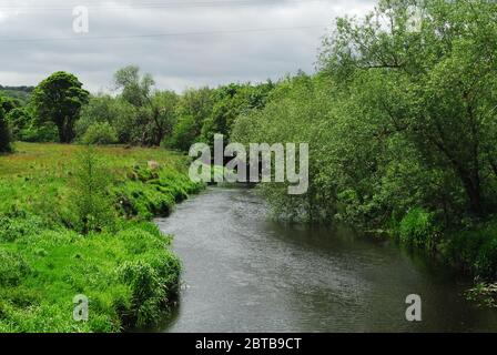 River Derwent, Derwent Country Park, Swalwell, Gateshead, Regno Unito Foto Stock