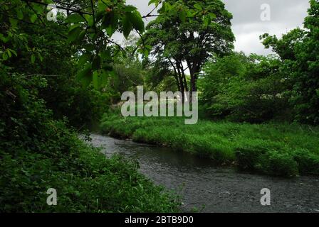 River Derwent, Derwent Country Park, Swalwell, Gateshead, Regno Unito Foto Stock