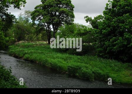 River Derwent, Derwent Country Park, Swalwell, Gateshead, Regno Unito Foto Stock