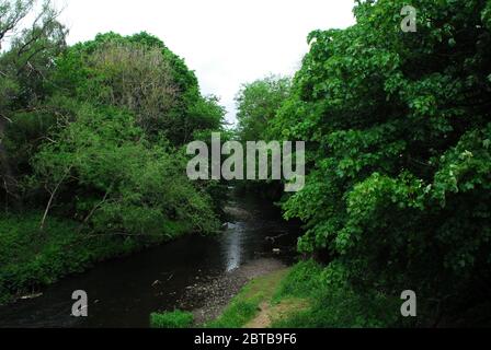 River Derwent, Derwent Country Park, Swalwell, Gateshead, Regno Unito Foto Stock
