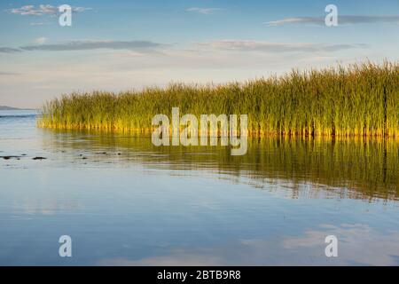 Vista mozzafiato sul lago Malawi, spiagge e acque cristalline, stagione secca, Malawi, Sud-Est-.Africa Foto Stock