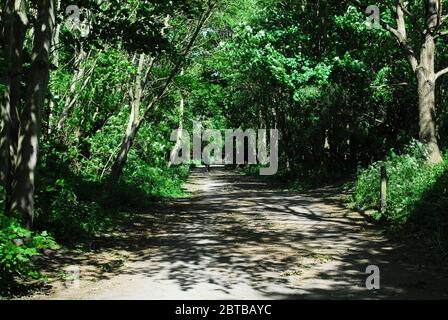 Derwent Walk, Derwent Countryside Park, Swalwell, Gateshead, Regno Unito Foto Stock