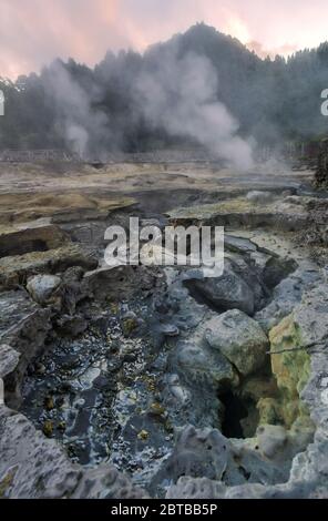 Cucina geotermica a Fumarolas da Lagoa das Furnas sull'isola di Sao Miguel, Azzorre Foto Stock