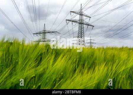 Linee elettriche, rete ad altissima tensione, 380 kilovolt, trasportano l'elettricità generata nelle grandi centrali elettriche nelle regioni, ad una statio di trasformatore Foto Stock