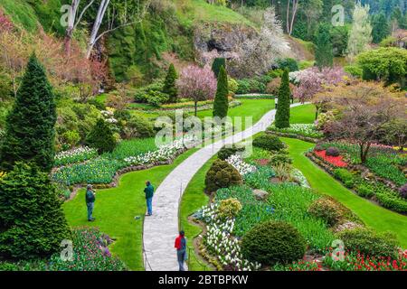 Percorso giardino ai Giardini Butchart in Victoria, British Columbia, Canada. Foto Stock