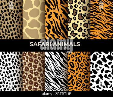 Set di motivi senza giunture animali, leopardo, tigre e zebra sfondi vettoriali. Pelle e pelliccia di animali africani, strisce di jaguar marrone semplice, pantera nera e giraffa beige motivo spot Illustrazione Vettoriale