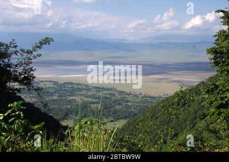 Paesaggio nel cratere di Ngorongoro in Tanzania Foto Stock