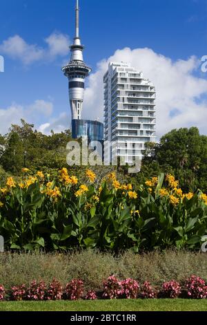 Sky Tower vista da Albert Park a Auckland, Isola del Nord, Nuova Zelanda Foto Stock