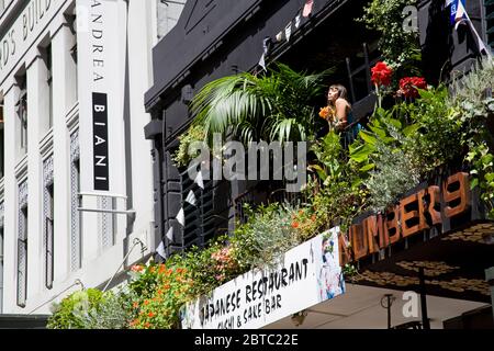 Ristorante giapponese su Vulcan Lane, Central Business District, Queen Street, Auckland, North Island, Nuova Zelanda Foto Stock