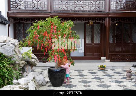 Cortile del Teawhouse presso il Giardino Cinese, Dunedin, il quartiere Centrale degli Affari, il Distretto di Otago, l'Isola del Sud, la Nuova Zelanda Foto Stock