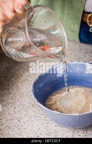 Versare acqua nel lievito per attivarlo, in preparazione alla preparazione del pane di grano germogliato. Il lievito secco deve essere disciolto in acqua a temperature comprese tra Foto Stock