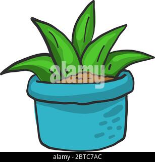 Aloe in vaso blu , illustrazione, vettore su sfondo bianco Illustrazione Vettoriale