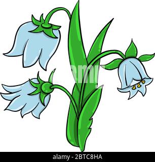 Fiori di campana blu , illustrazione, vettore su sfondo bianco Illustrazione Vettoriale