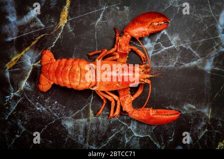 Pesce di aragosta bollito rosso su un fondo piatto nero Foto Stock