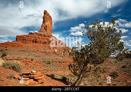 UT00593-00...UTAH - un albero di ginepro alla base di una butte scolpita nella Valle degli dei. Foto Stock