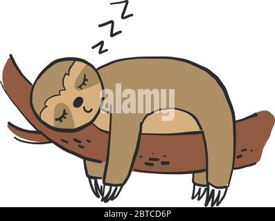 Sloth addormentato su albero , illustrazione, vettore su sfondo bianco Illustrazione Vettoriale