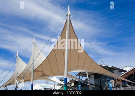 Queens Wharf, Wellington City, North Island, Nuova Zelanda Foto Stock