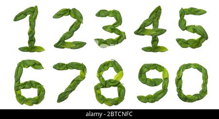 Numeri arabi da foglie fresche di spinaci verdi su fondo bianco isolato. Naturale motivo bonatico fatto da foglie. Alfabeto luminoso Foto Stock