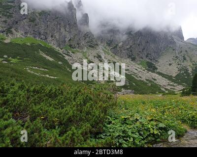 Paesaggio montano con nuvole in estate Foto Stock