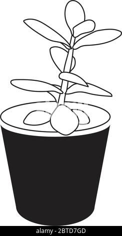Moderna e minimalista Jade pianta in Dark Grey Pot Line Art. Isolato su bianco Illustrazione Vettoriale