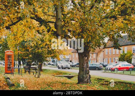 Un albero di quercia adornato in colori autunnali sul verde villaggio a Burnham Market, Norfolk, Inghilterra, Regno Unito Foto Stock